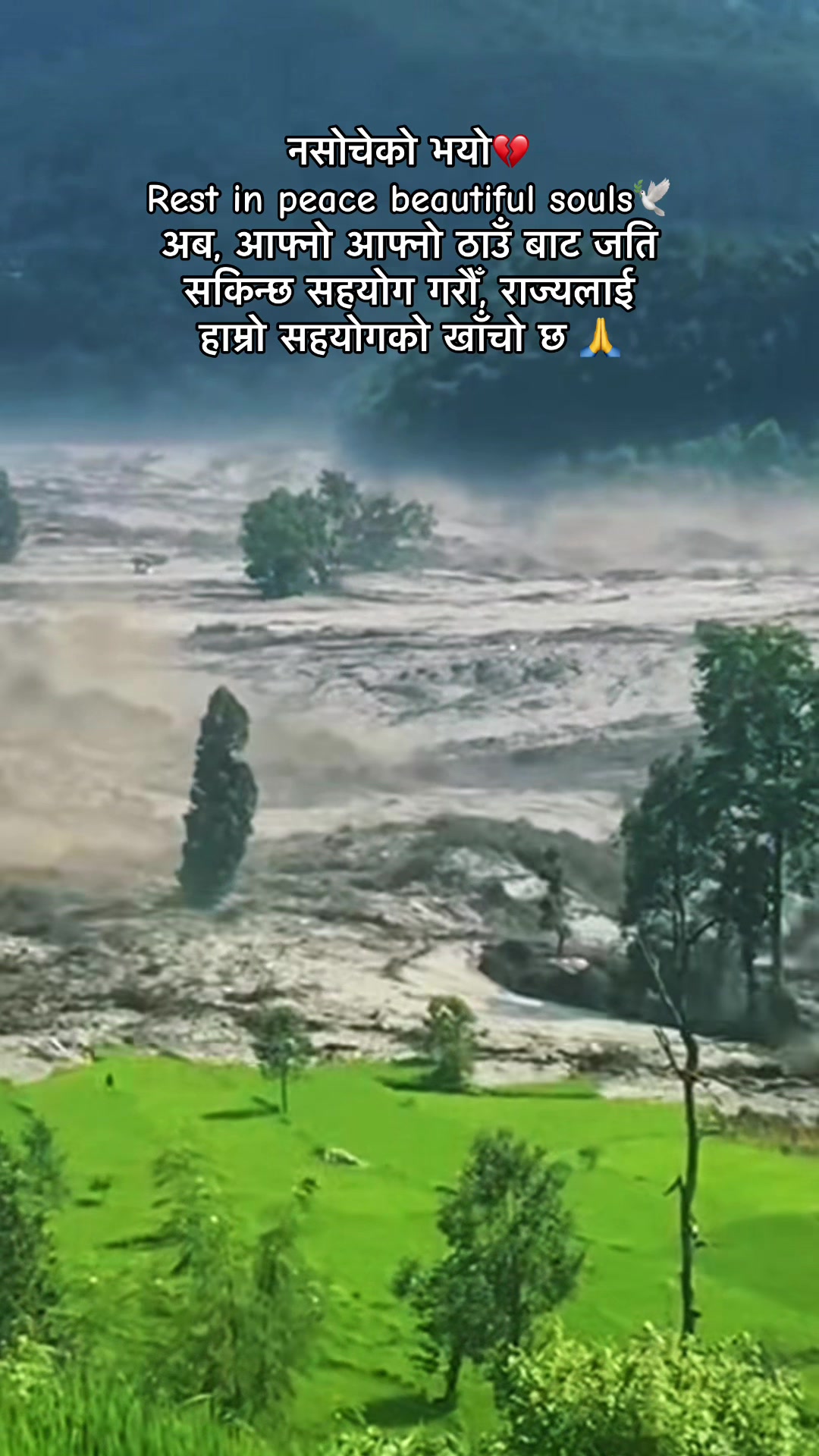 @chandrakala