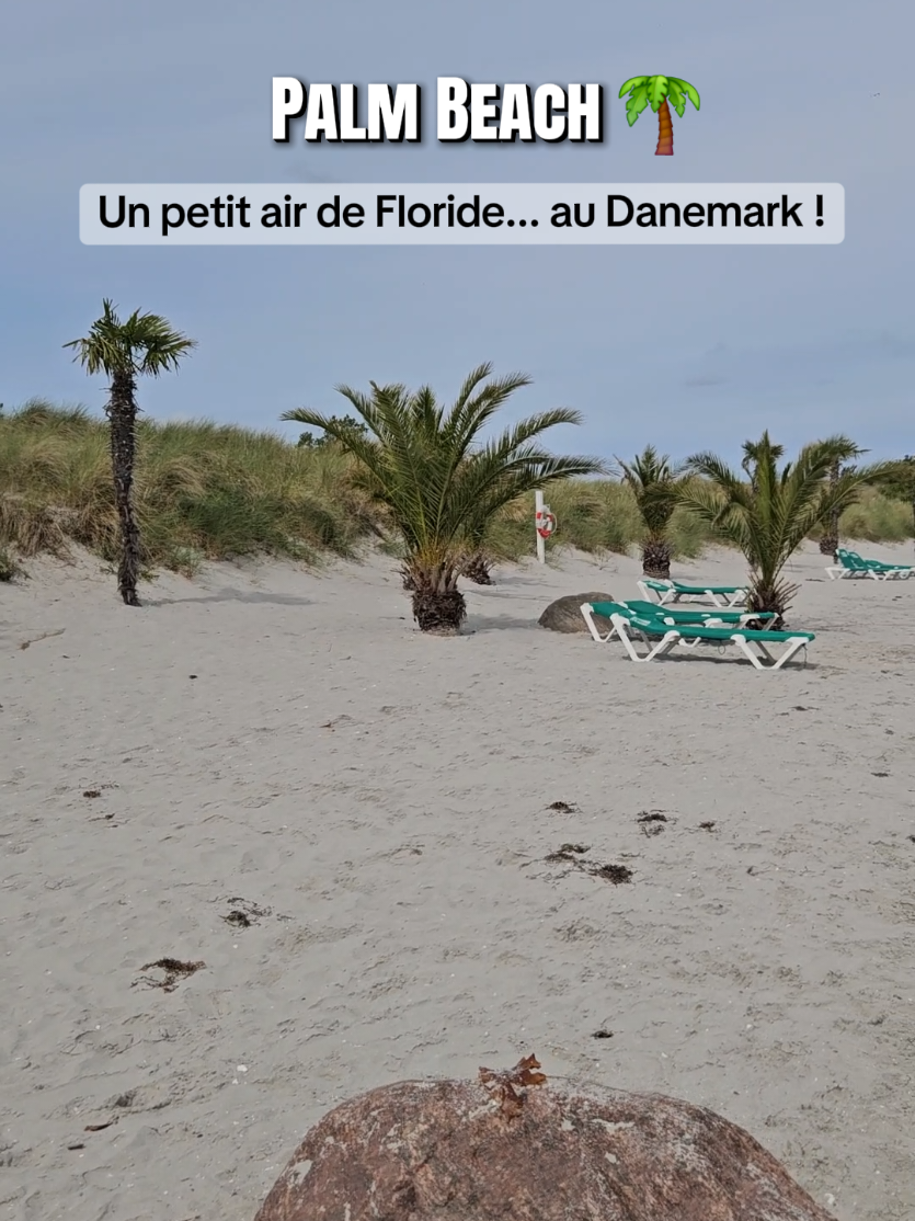 @Les p&rsquo;tits loups en vadrouille