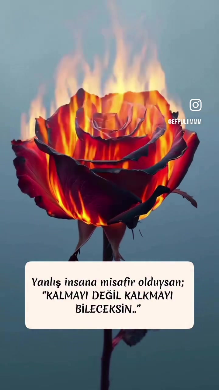 @hasan_hakan_bayraktar