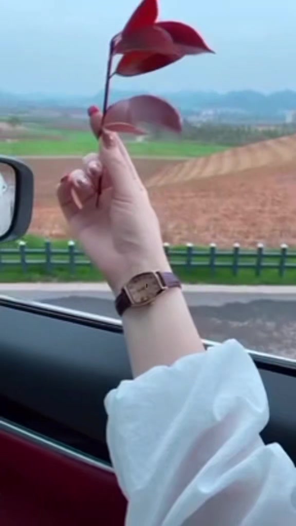 @╾━بلوچ عرباب 🥀🥀 قیصرانی
