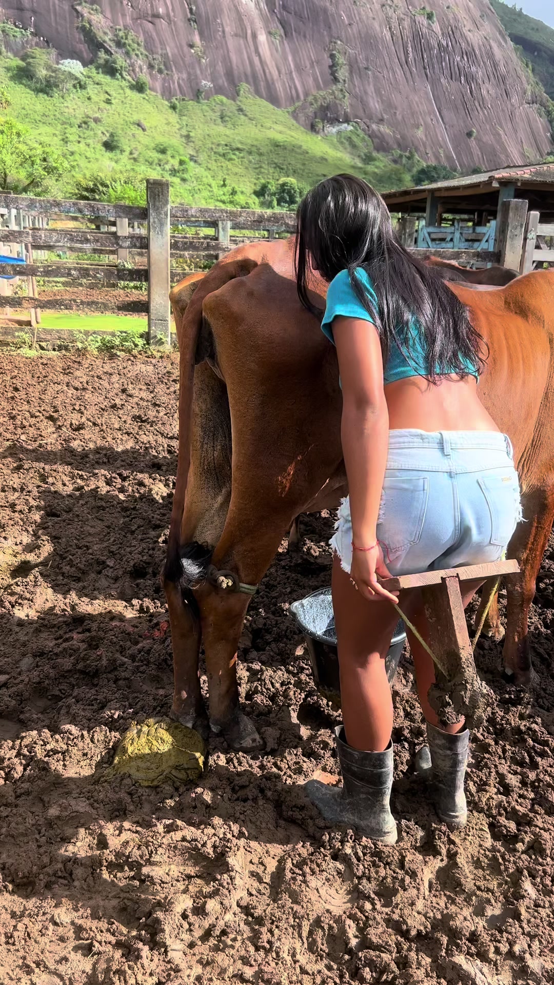 @Bruna Larissa Silva