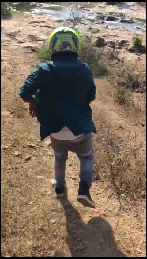 @esedis