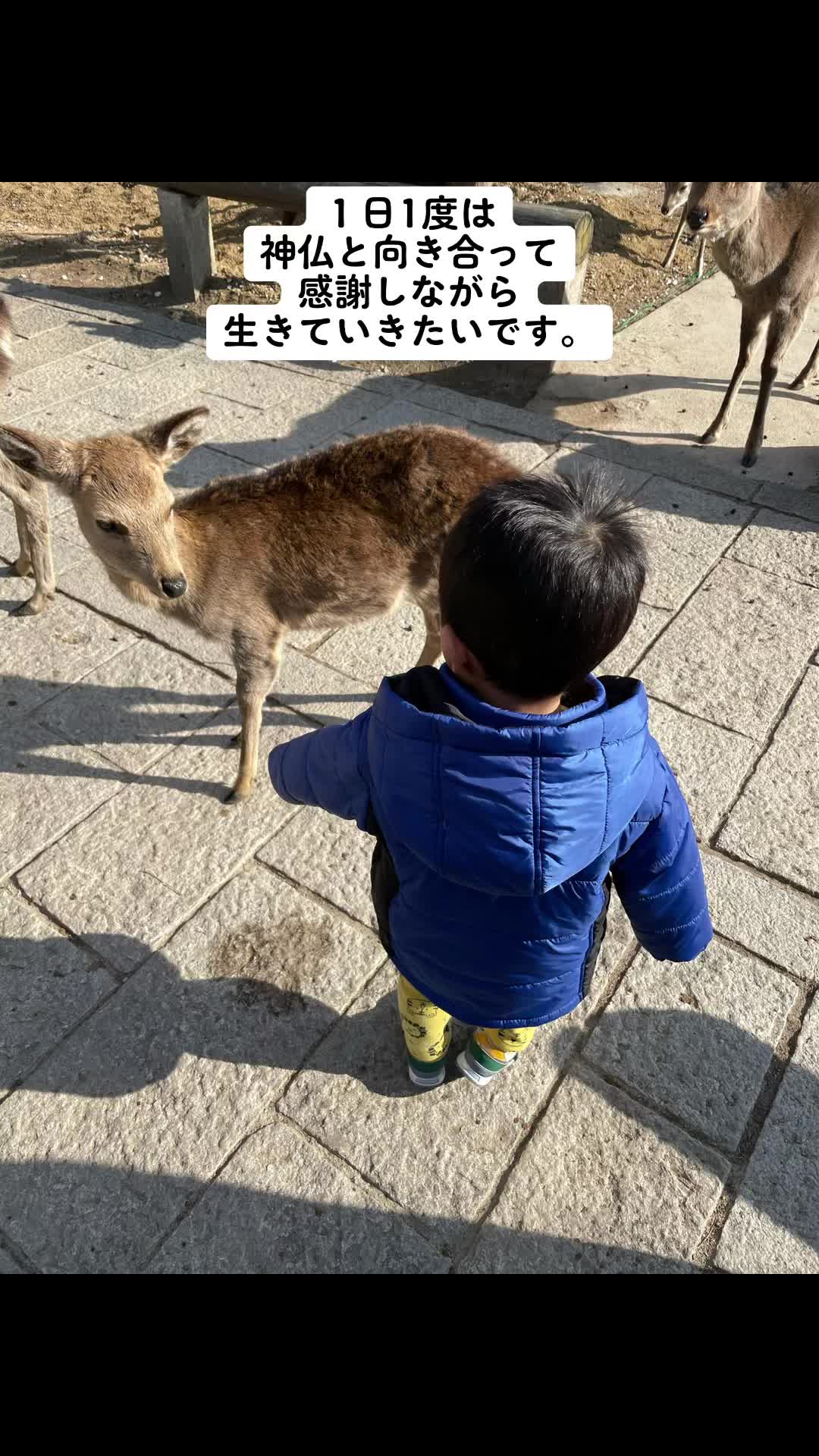 @秋山明山