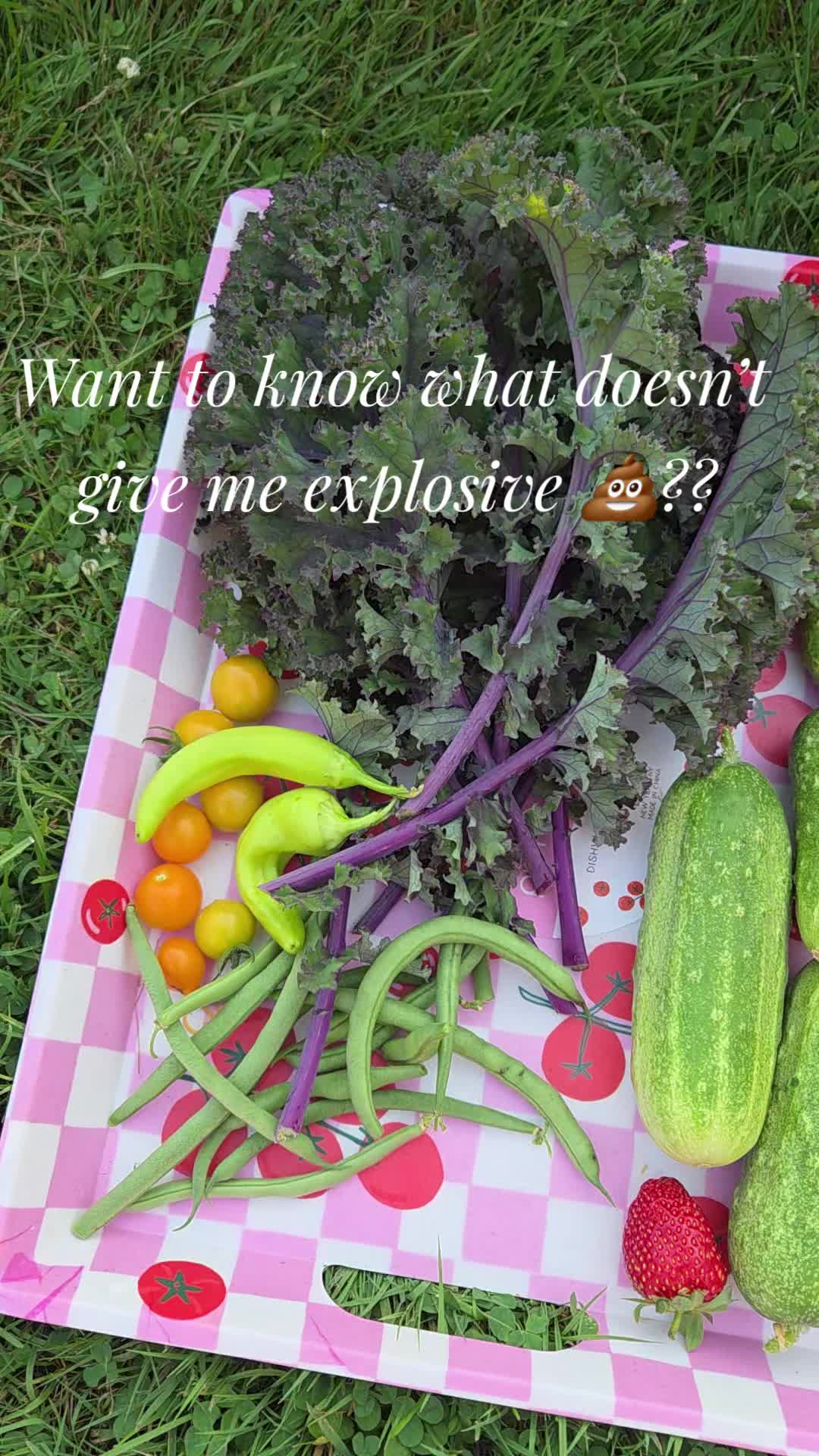 @Lauren | Balanced Wellness