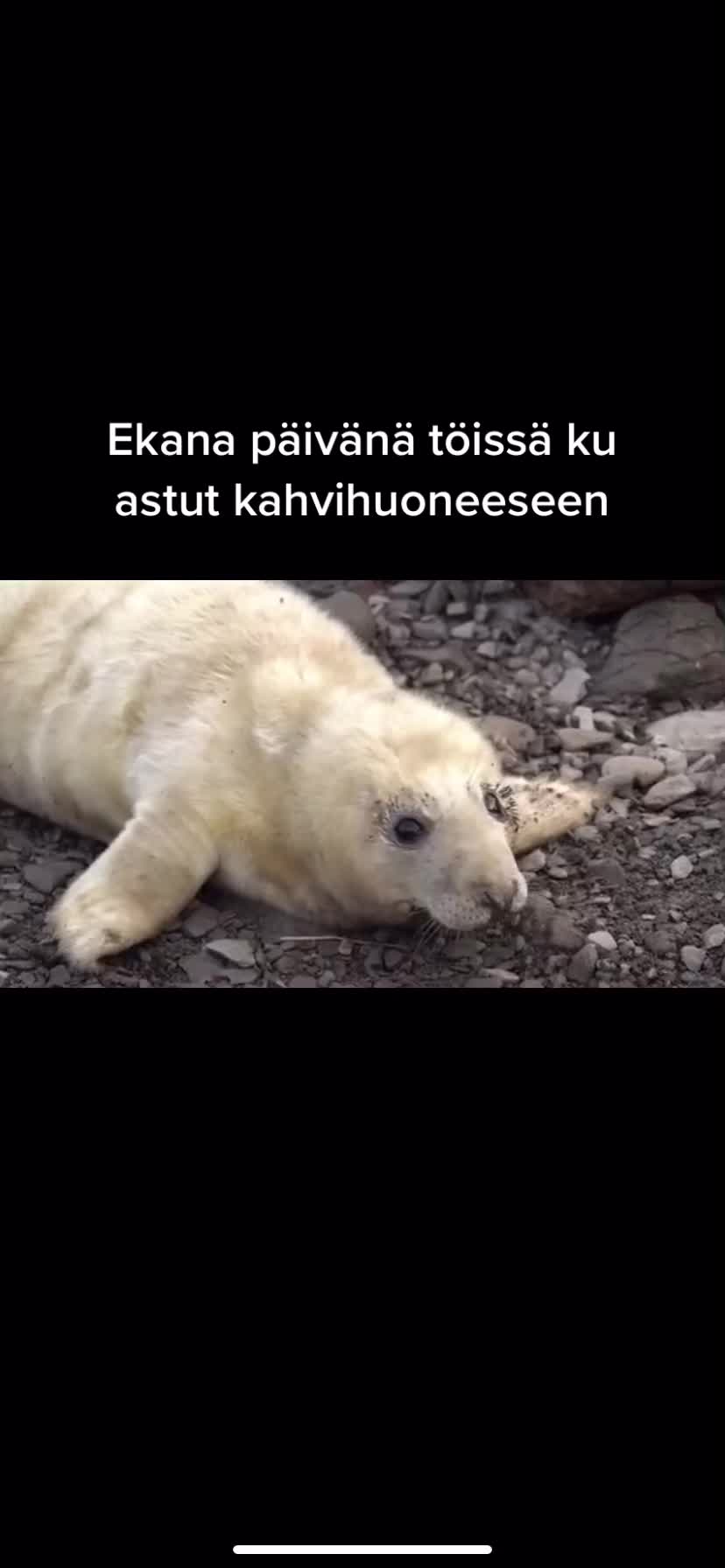 @Viivi Eräpuu