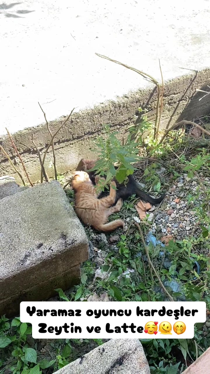 @Şapkalı Kadın