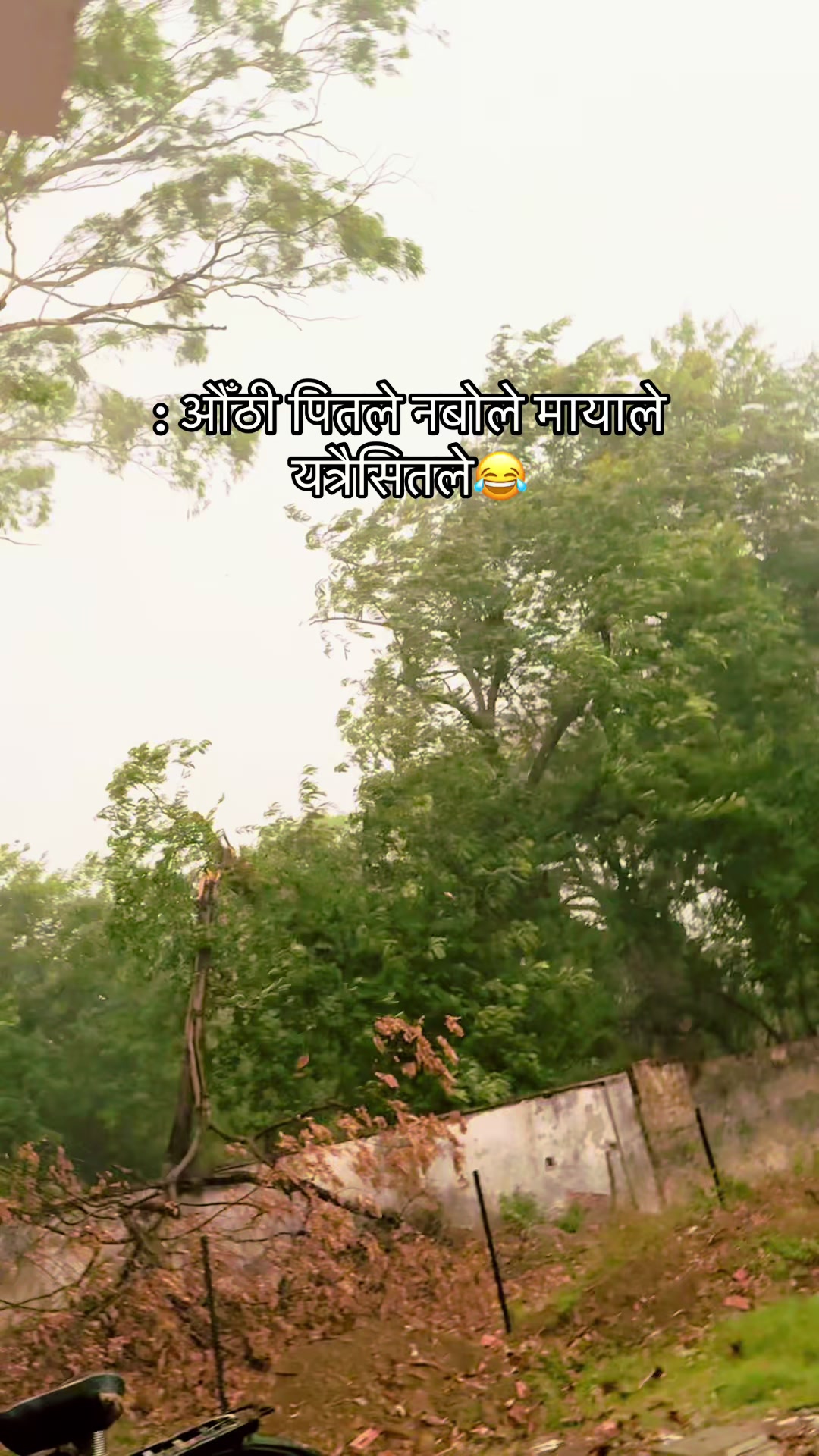 @Shrishti karki