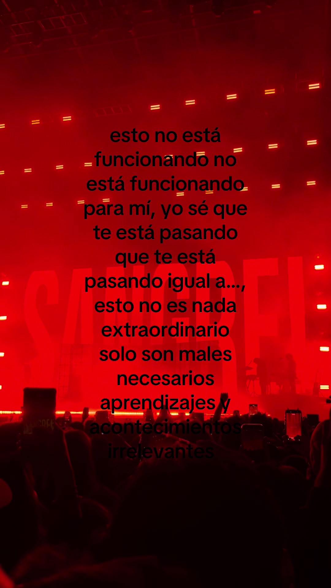 @canelamich🐰