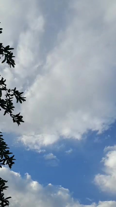 @๐ฆ๐โงุฃู
ููููููููุฑุฉโงุงููุฑุฏ๐โค๏ธ