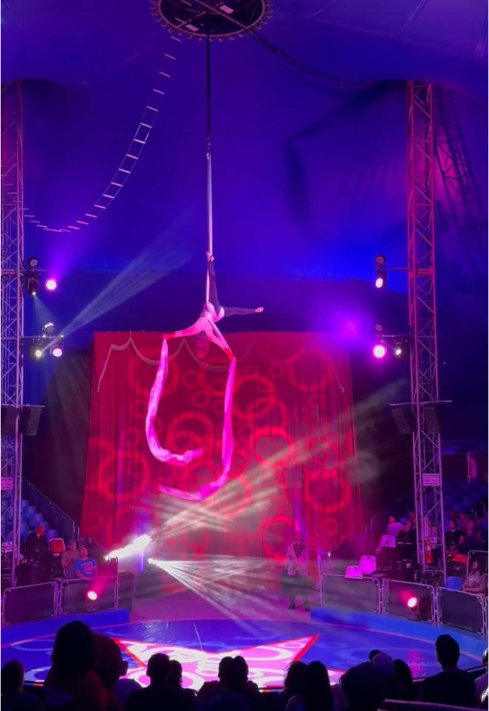 @circus.chloe