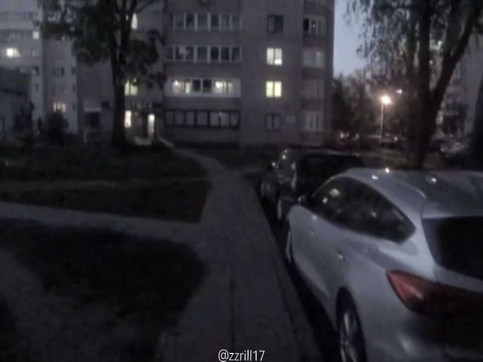 @zzrill17🐈&zwj;⬛