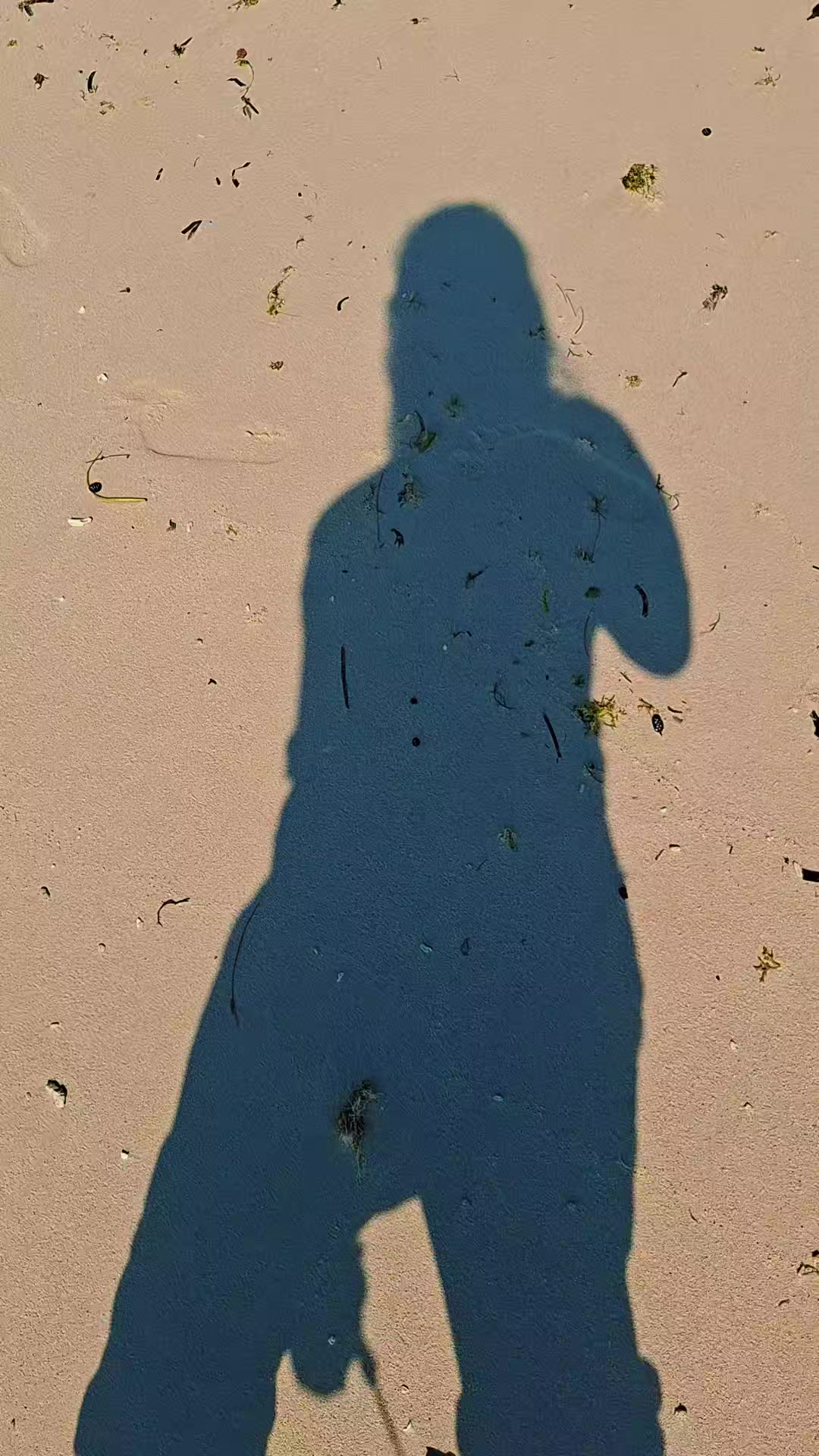 @_🐬 I.....