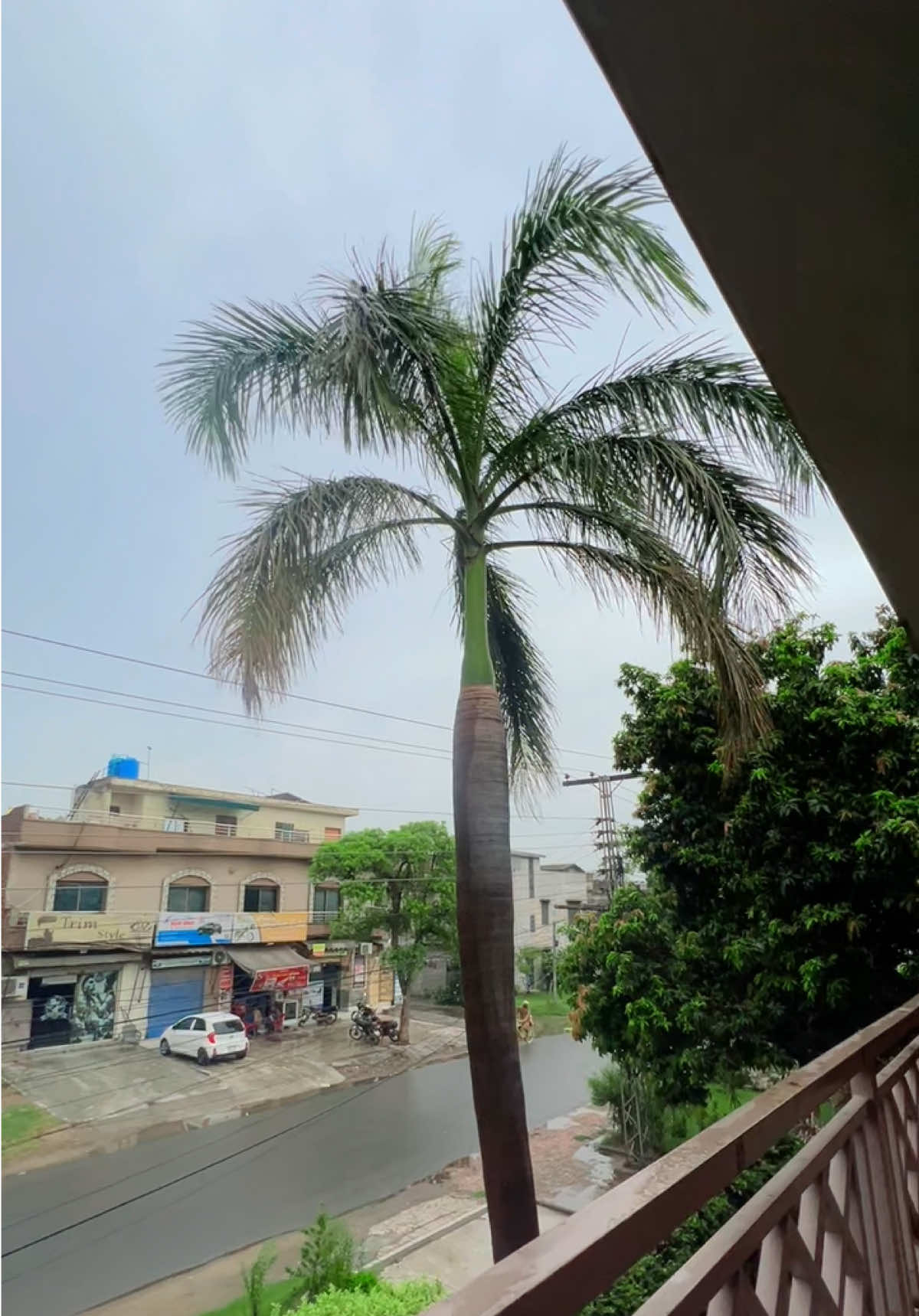 @MUJTABA🦁