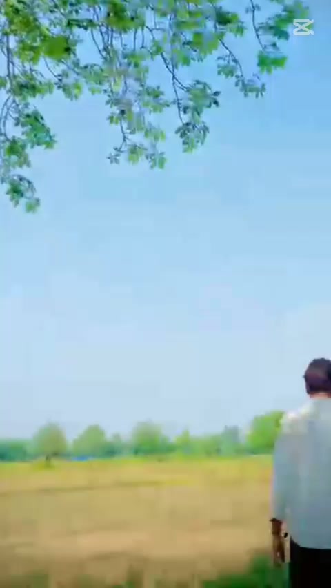 @PA丨ZaRri
