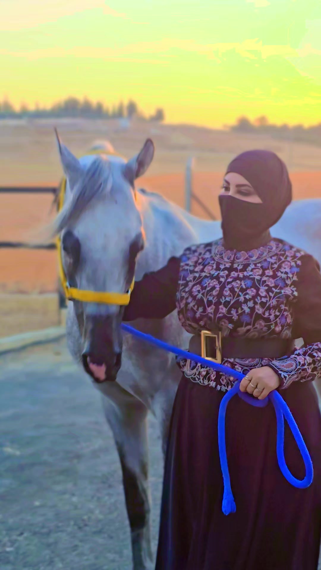 @الفارسة الملثمة 🐎🥷