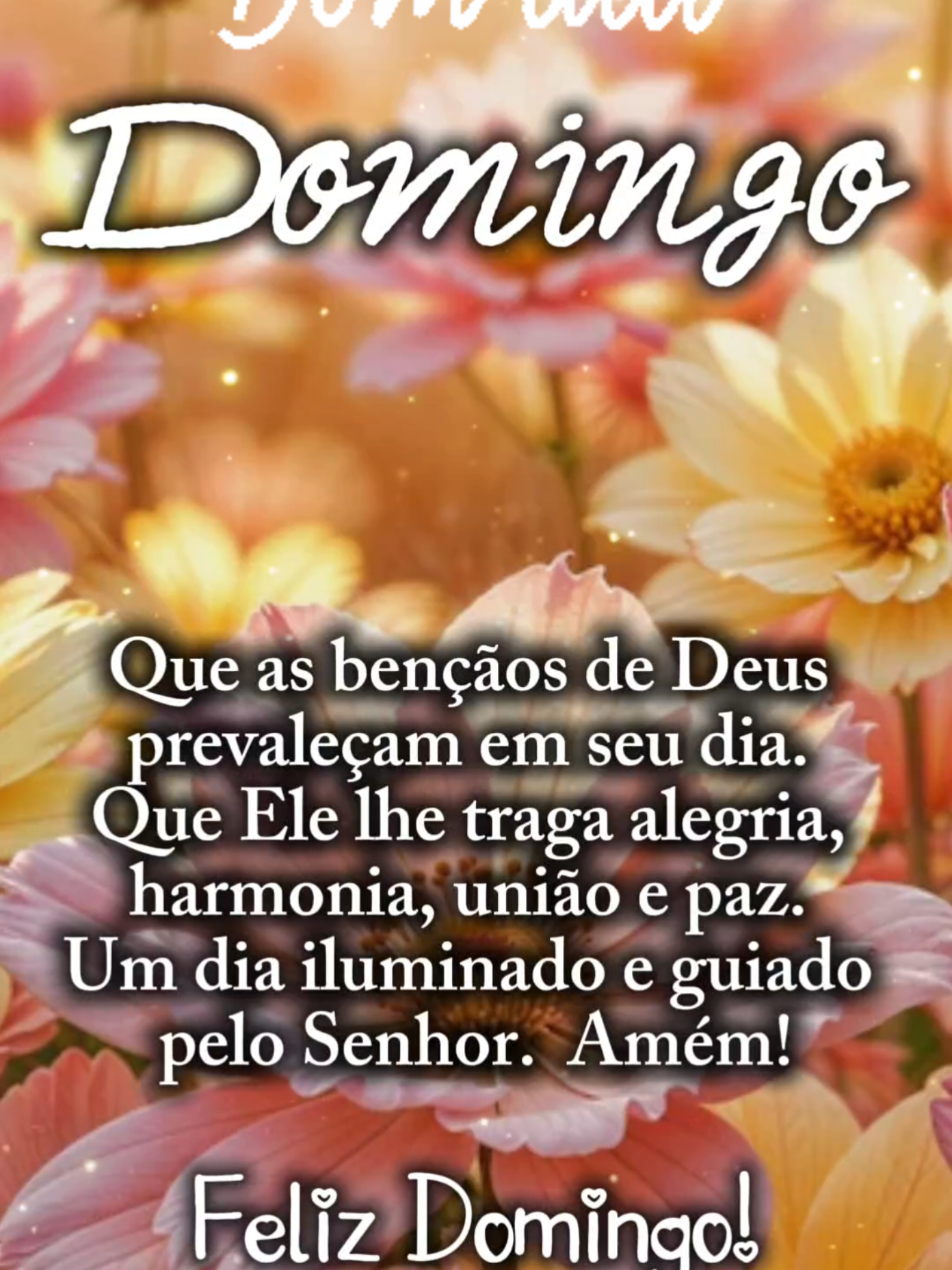 @𝘚𝘰𝘤𝘰𝘳𝘳𝘰🌺🇧🇷