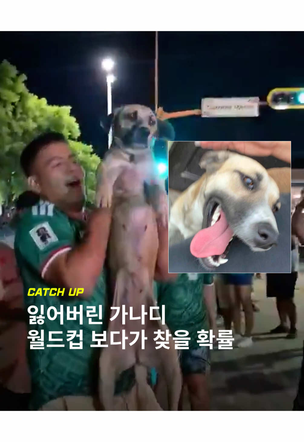 @이슈&트렌드 | 케찹