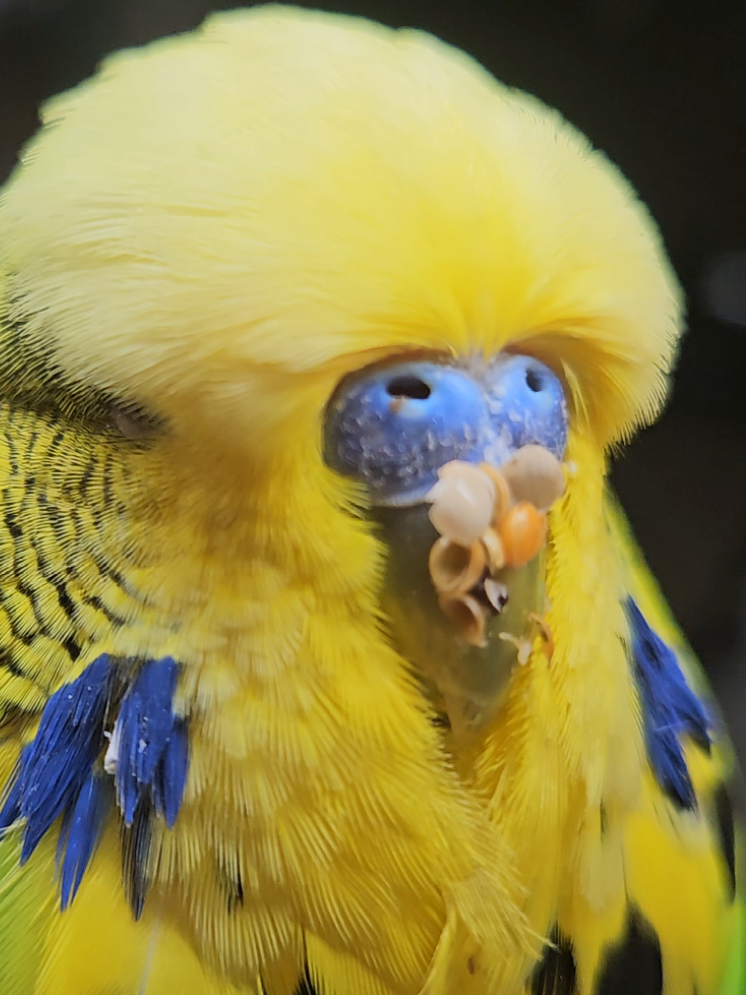 @Run Slow-Mo Charlie🦜