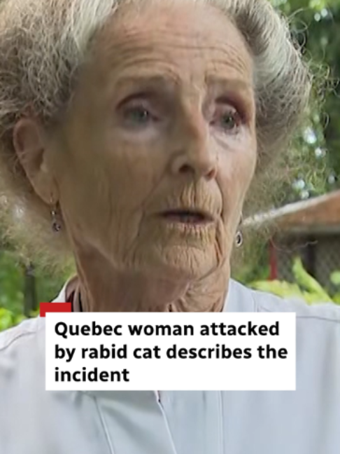 @CBC Montreal