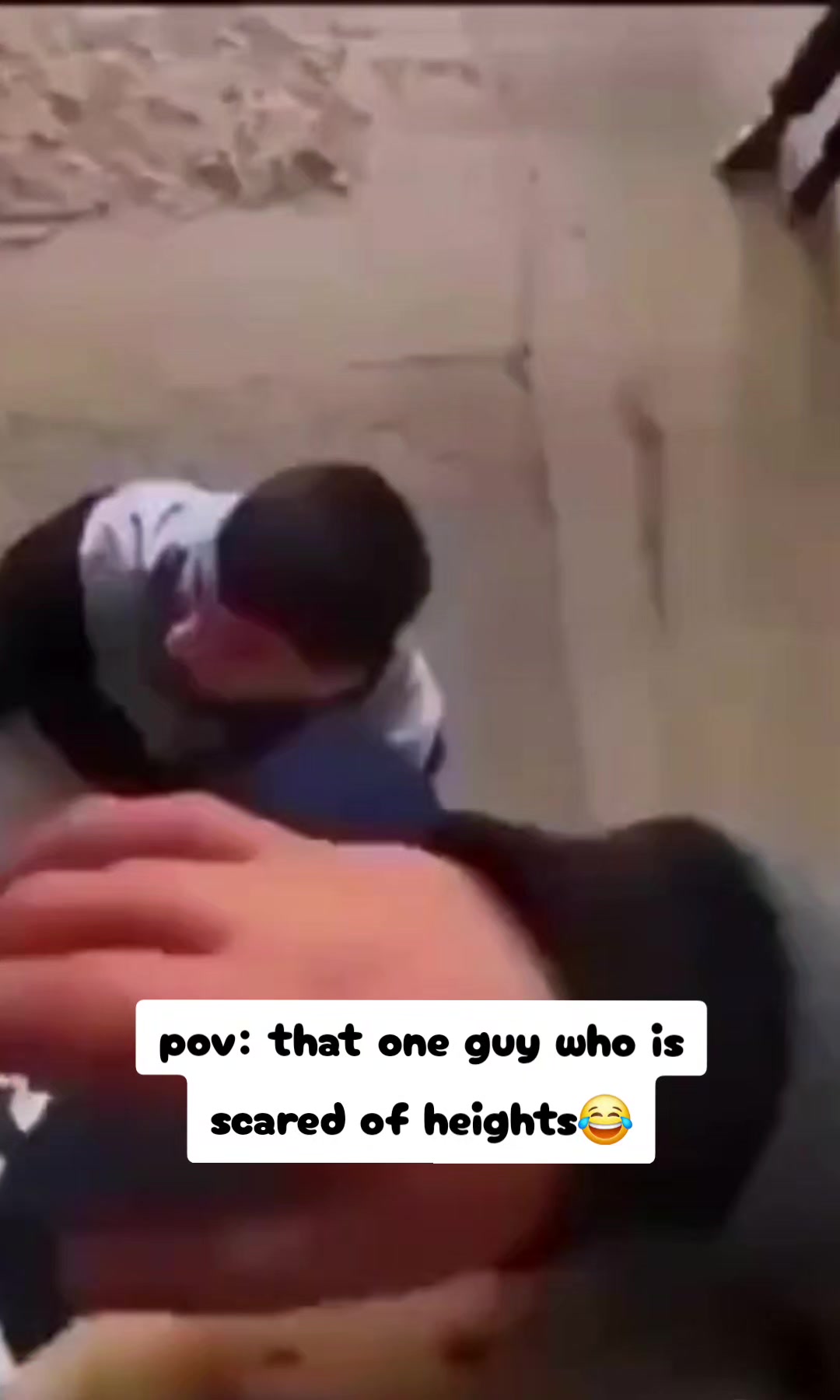 @Hasbulla Memes