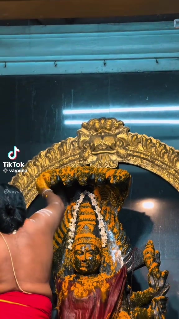 @பாரதி 🌸🌙