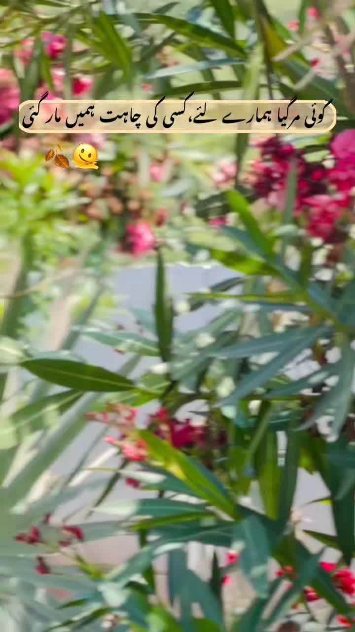 @ملك عقيل  ساقى
