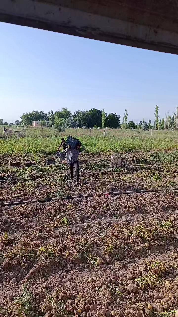 @Hakan Oğuz &Ouml;zkan
