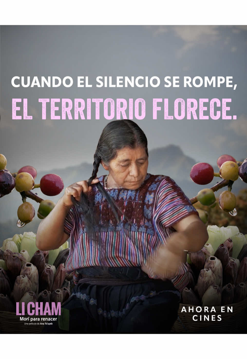 @Artegios Distribuci&oacute;n