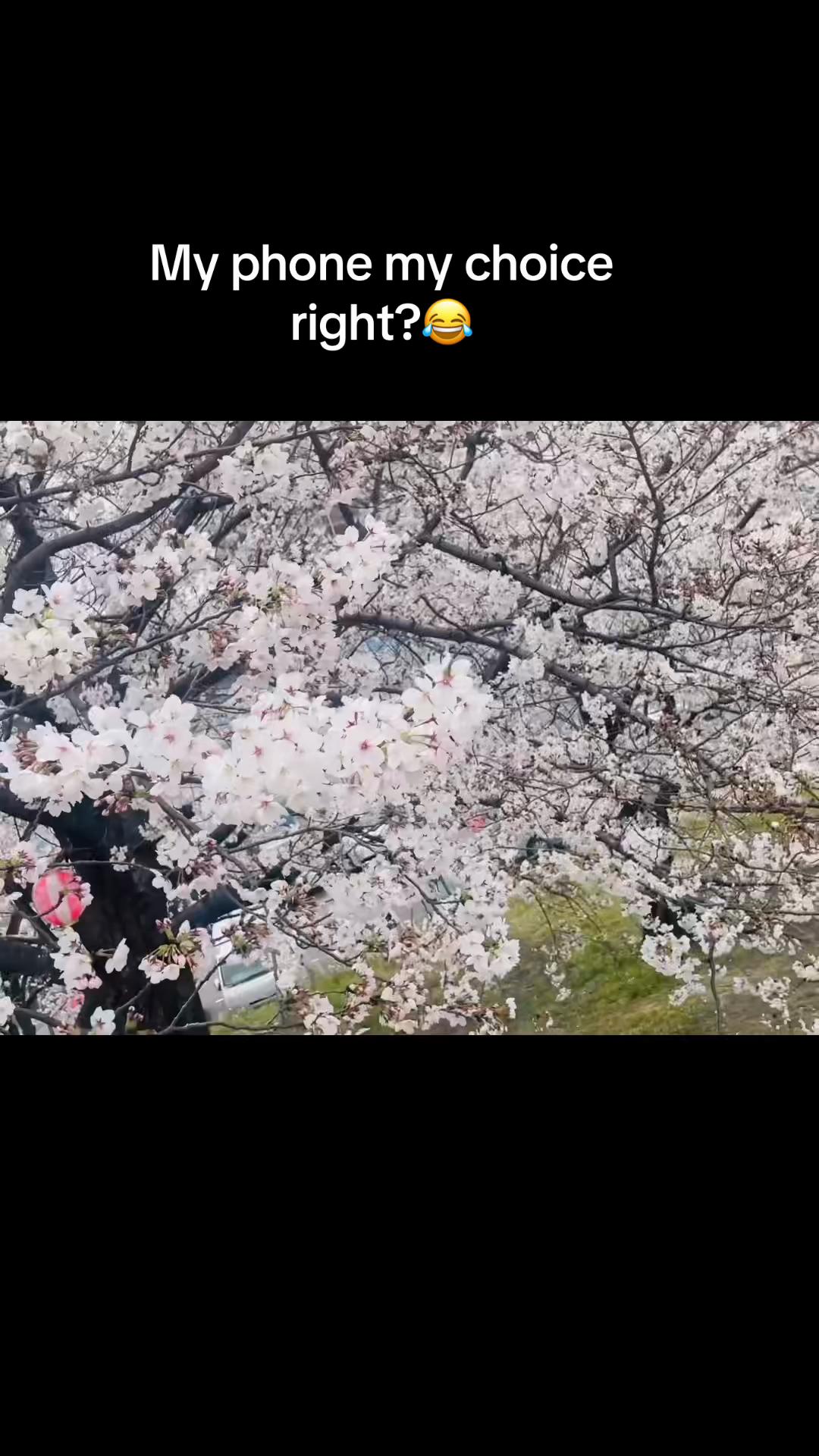 @ahooooooooo90