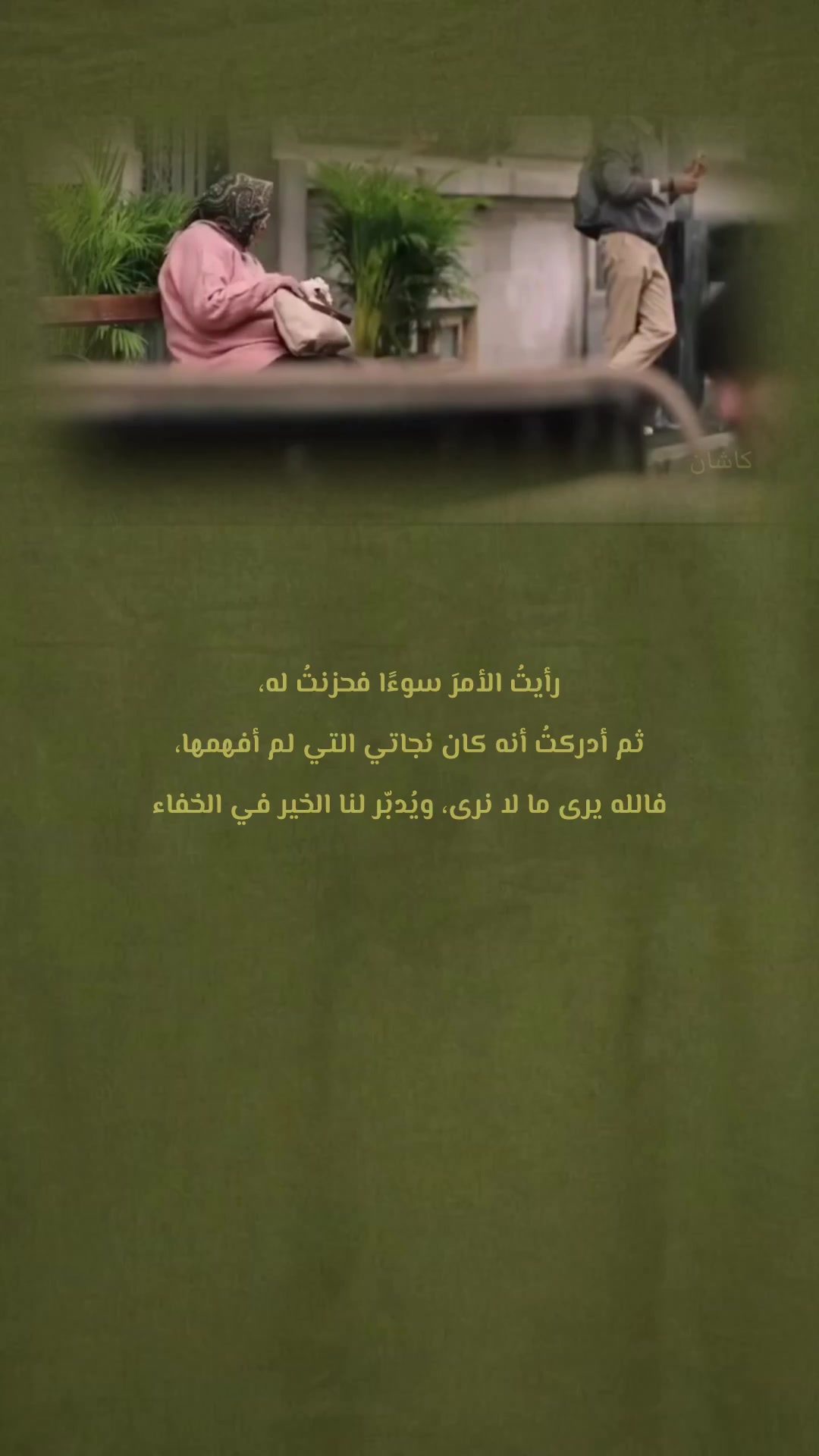 @kashin_02