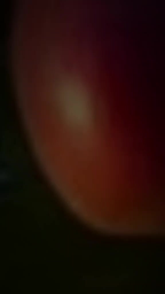 @raisa 534