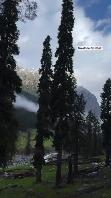 @YaseenOo