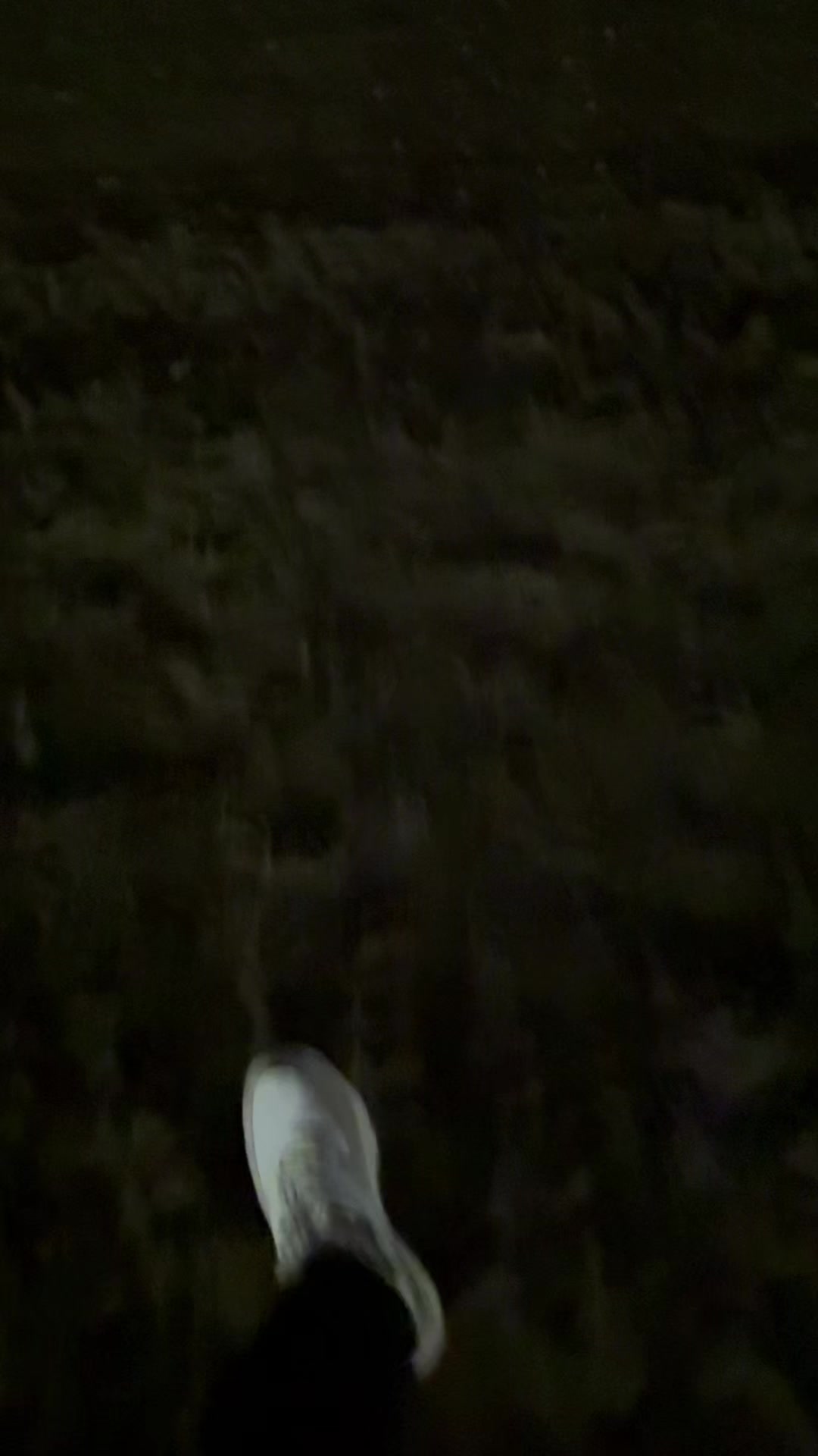 @wisam.hd