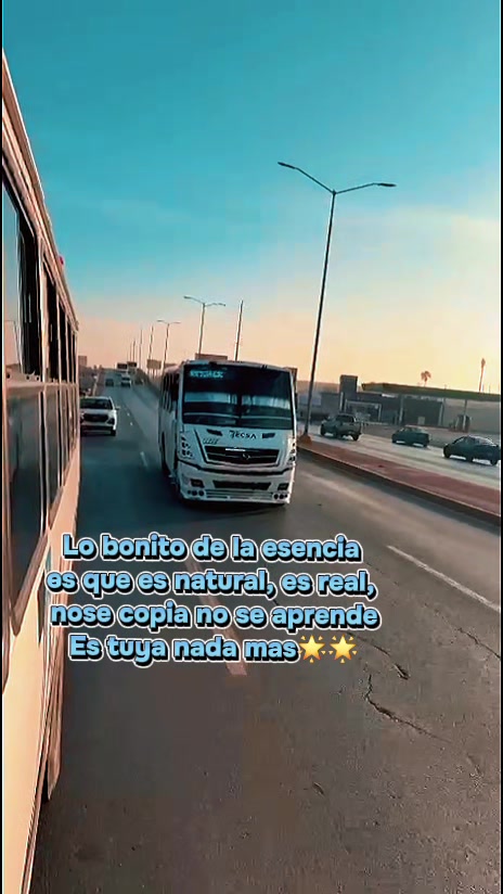 @Banda Brandon
