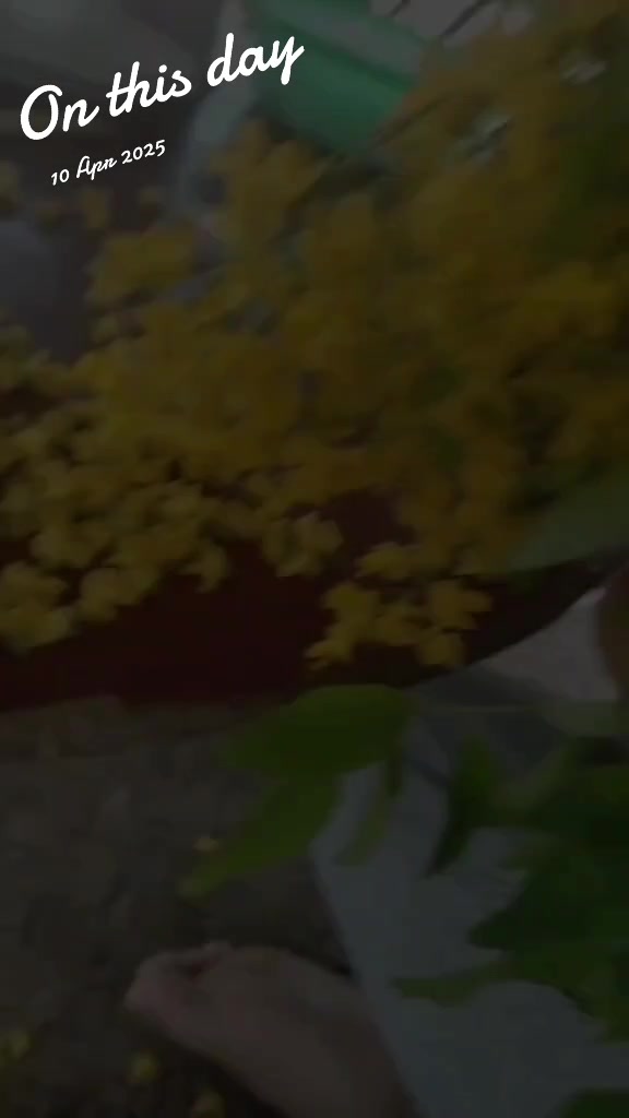 @&Auml;m&auml;&yuml;&auml;ř🐇🌷