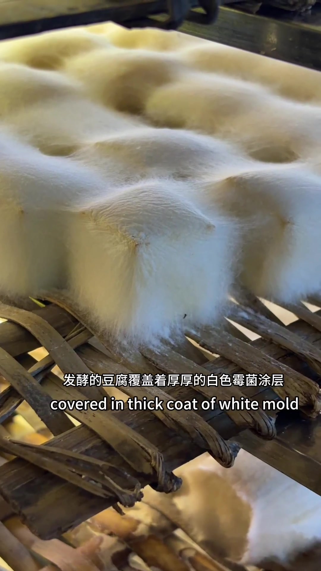 @Morgan Cutbush | Life in China