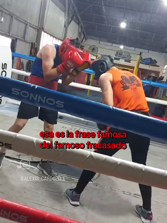 @Alexis Cardozo