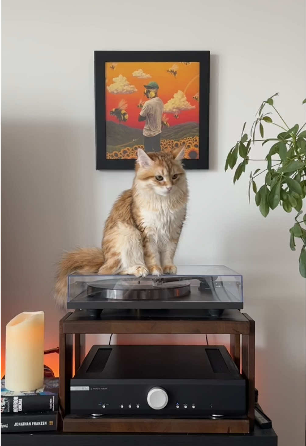 @Leon The Vinyl Cat