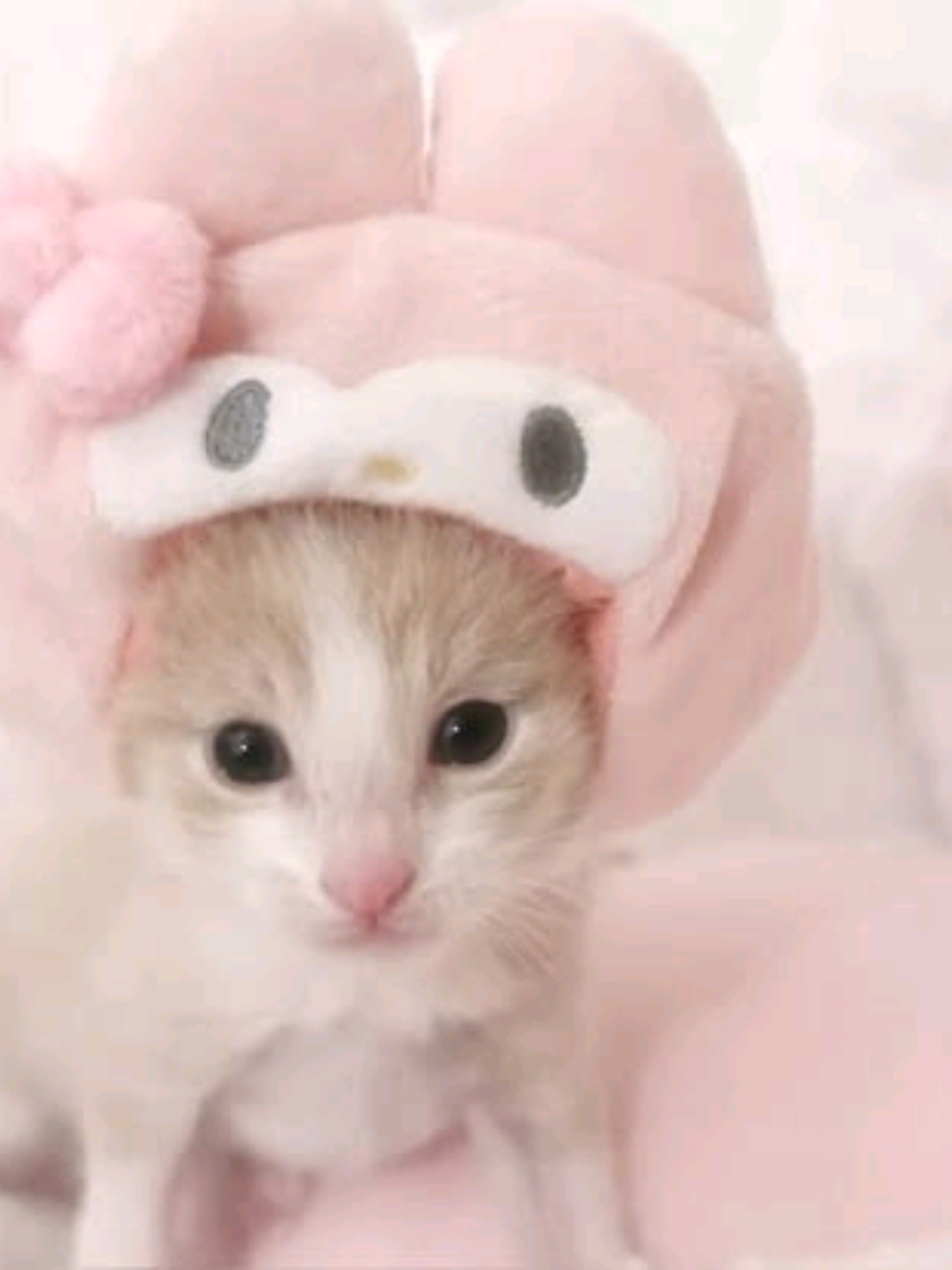 @꒰ঌDyfi໒꒱