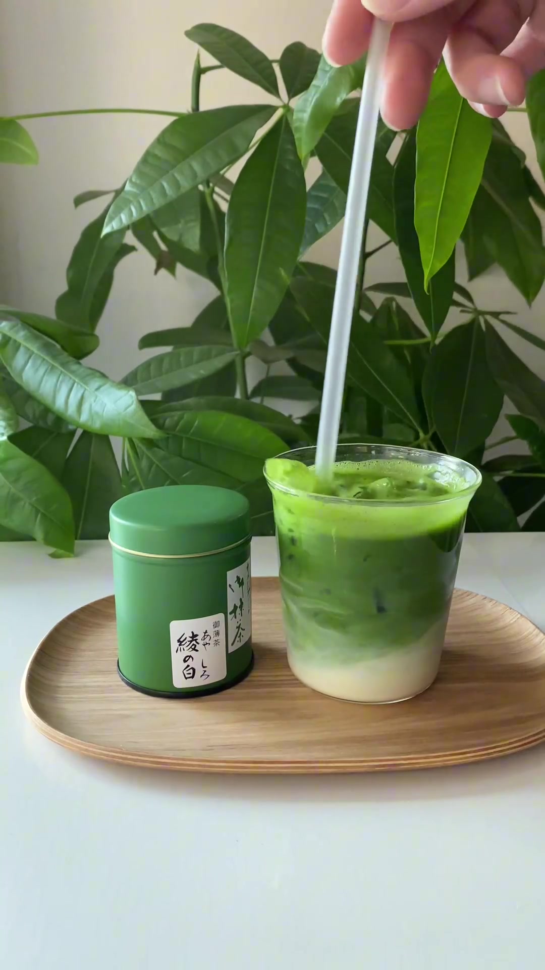 @Ujicha Matcha
