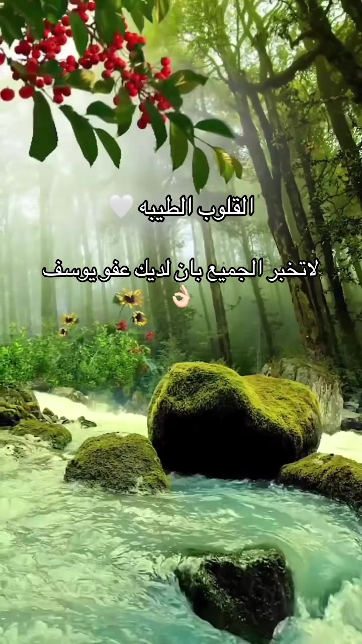 @عابرة الى الجنه ان شاء الله