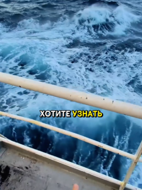 @Краболов Матковский Алексей