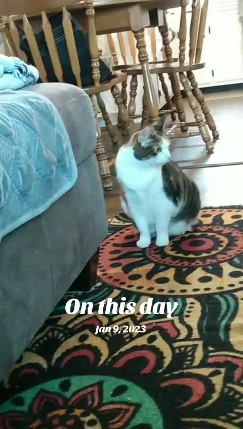 @queeerpumpkin