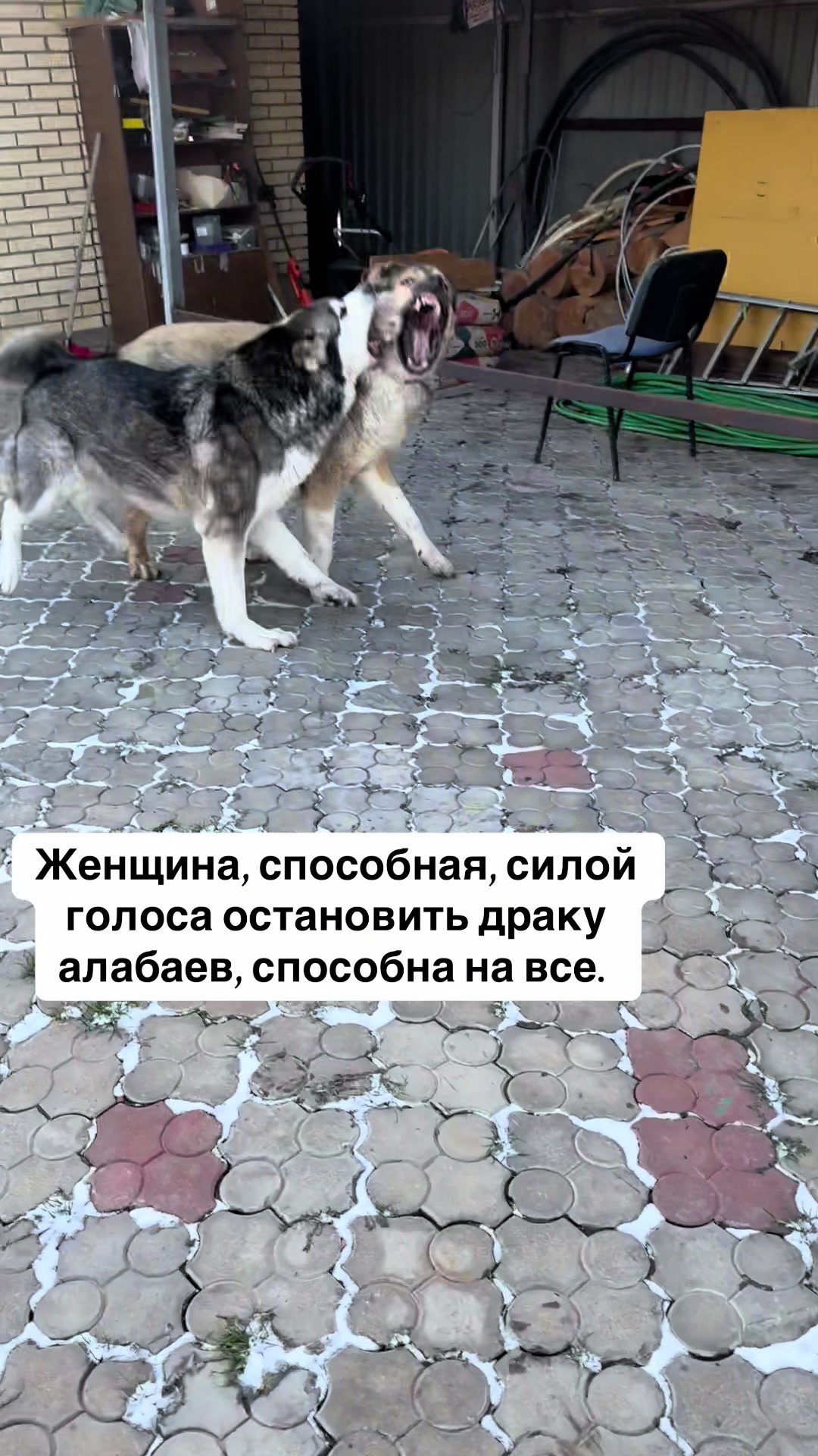 @Анна Алмазова