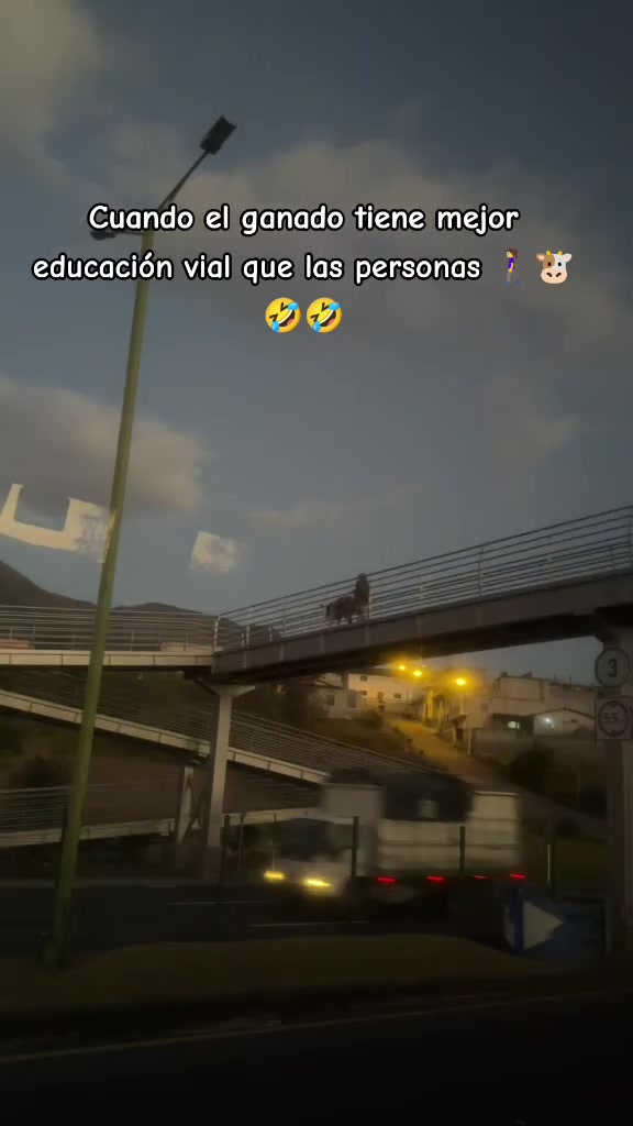 @Rosa Maribel ❤️