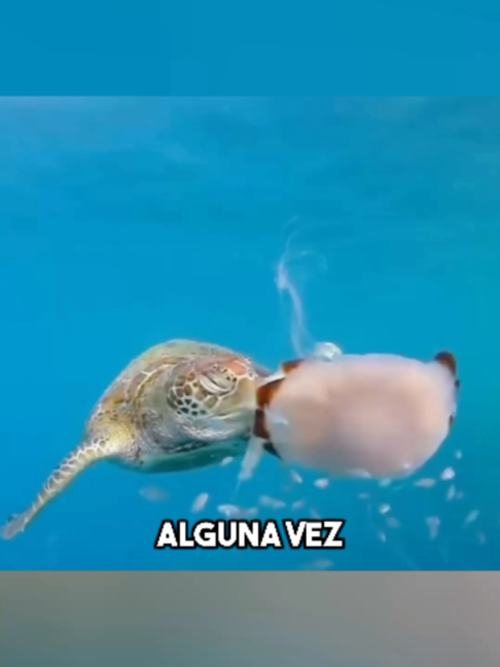 @Historia_Absoluta