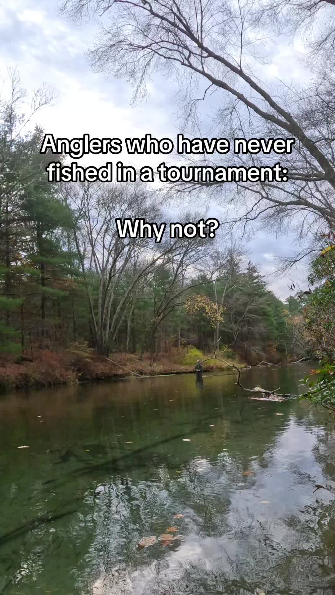 @The Fishly