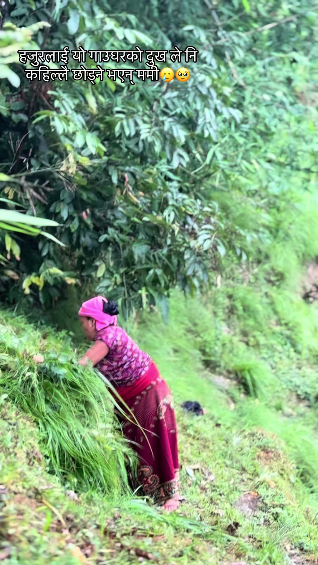 @शान्ति खड्का