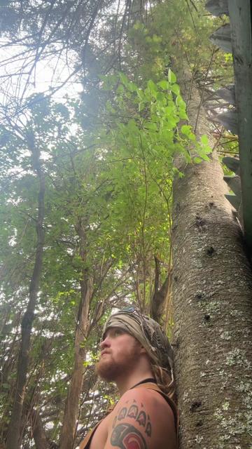 @TheReal-Tarzan
