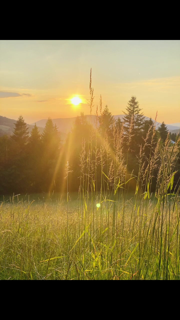 @.mkmkmk.